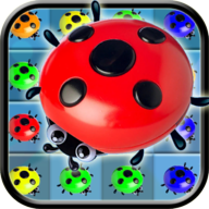 Ladybug Match 3 Miracle Kids 1.3