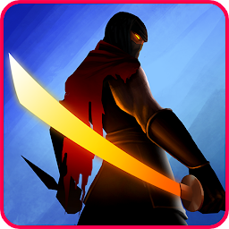 Ninja Raiden Revenge 3.1.0