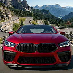 BMW Driving Simulator 386.0