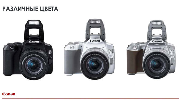 Canon Spring 2019: все весенние новинки бренда