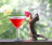 ivan_5228