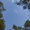 id750391199