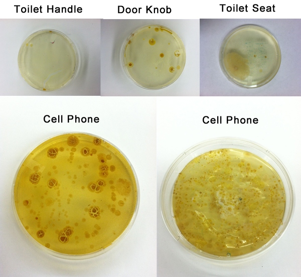 Док-станция PhoneSoap: не только зарядит, но и продезинфицирует