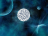 nuriev05