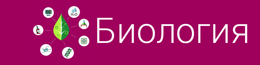 Новости недели, не рассказанные на е (31.07.2016)