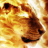 lion2681