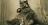 MinerCreese