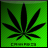 CANNABIS