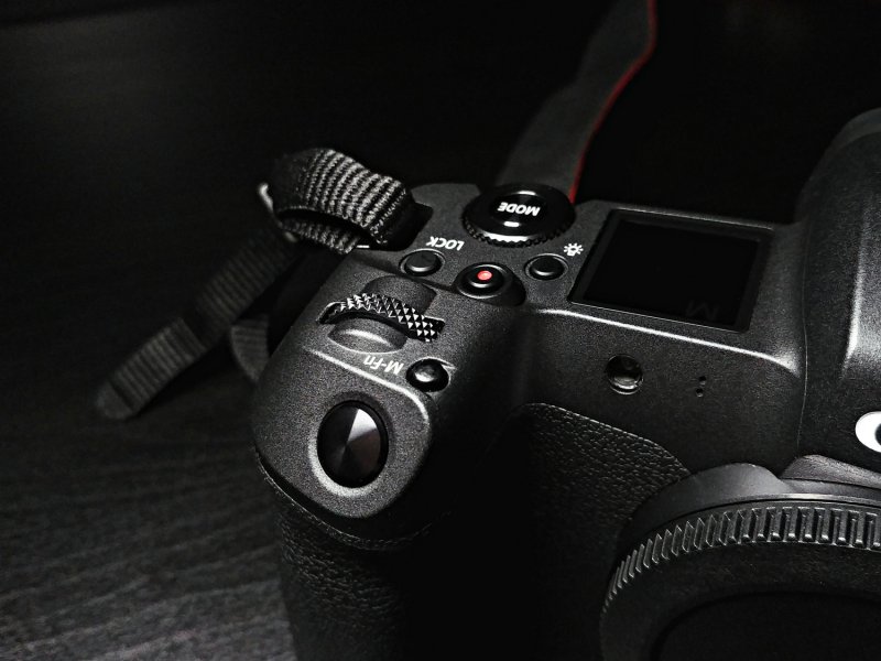 По Прибалтике с Canon EOS R. Полевое тестирование новой системы
