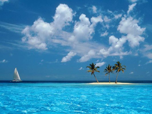 Скачайте ностальгические обои из Windows XP, Android 3 и других старых популярных ОС