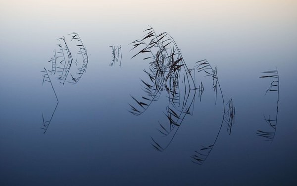 Скачайте ностальгические обои из Windows XP, Android 3 и других старых популярных ОС