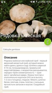 По грибы 144.0. Скриншот 4