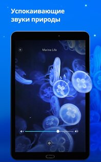 Music Zen 1.25. Скриншот 5