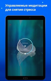 Music Zen 1.25. Скриншот 7