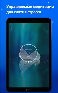 Music Zen 1.25. Скриншот 11