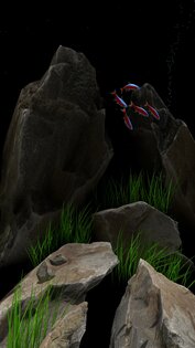 NANO AQUARIUM LWP 1.3. Скриншот 2