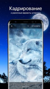 Обои с волками 7Fon 6.3.0. Скриншот 3