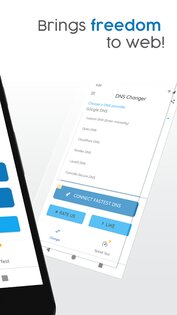 DNS Changer 1336-1r. Скриншот 2