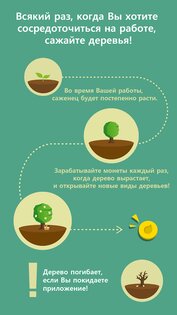 Forest – будь сосредоточенным 5.22.0. Скриншот 3