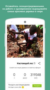Forest – будь сосредоточенным 5.22.0. Скриншот 6