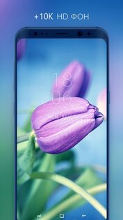 pexii – лучшие бесплатные обои 9.5.0. Скриншот 3