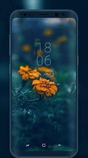 pexii – лучшие бесплатные обои 9.5.0. Скриншот 6
