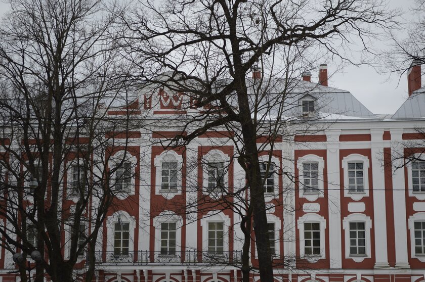 Тестируем сжатие в Google Фото: как «высокое качество» портит снимки