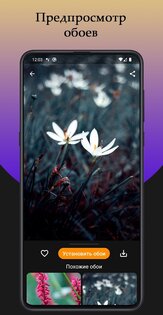 Темы для Xiaomi и Redmi 8.2. Скриншот 5