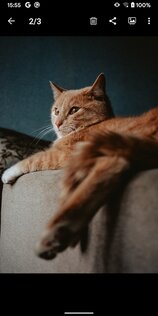 Галерея 6.0.7. Скриншот 6