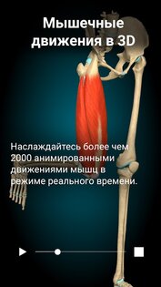 Anatomy Learning – 3D анатомия 3.1.500. Скриншот 14