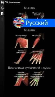 Anatomy Learning – 3D анатомия 3.1.500. Скриншот 18