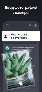 Genie – AI Chatbot Русский 10.5.3. Скриншот 3