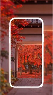 Magical Wallpaper 1.1.0. Скриншот 4