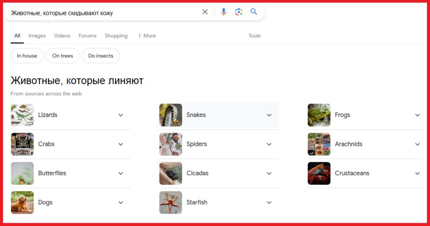 «Идеальная» работа поисковика Google