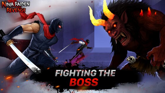 Ninja Raiden Revenge 3.1.0. Скриншот 3