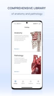 VOKA 3D Anatomy & Pathology 6.9.0. Скриншот 1