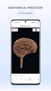 VOKA 3D Anatomy & Pathology 6.9.0. Скриншот 2
