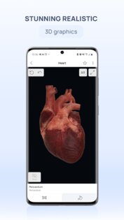 VOKA 3D Anatomy & Pathology 6.9.0. Скриншот 3