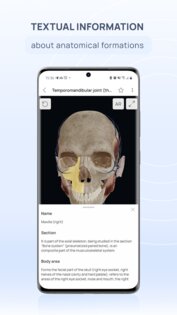 VOKA 3D Anatomy & Pathology 6.9.0. Скриншот 5