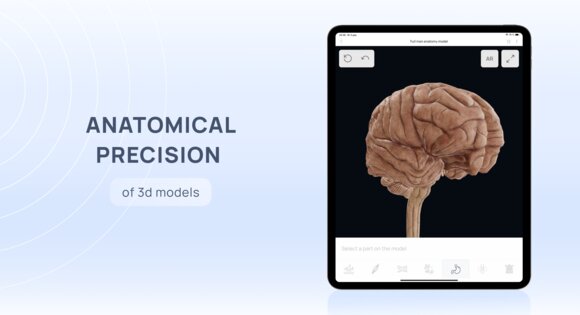 VOKA 3D Anatomy & Pathology 6.9.0. Скриншот 10