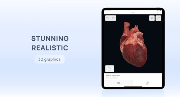 VOKA 3D Anatomy & Pathology 6.9.0. Скриншот 11