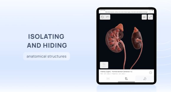 VOKA 3D Anatomy & Pathology 6.9.0. Скриншот 12