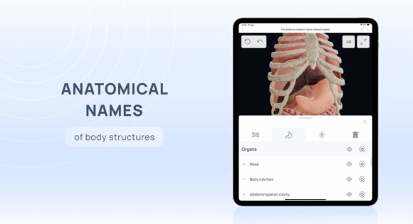 VOKA 3D Anatomy & Pathology 6.9.0. Скриншот 22