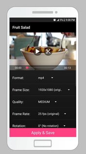 Smart Video Editor 2.8. Скриншот 24