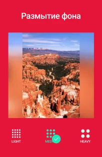 InShot 2.221.1547. Скриншот 2