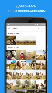Google Фото 7.84.0.949657053. Скриншот 1