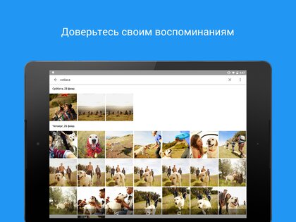 Google Фото 7.84.0.949657053. Скриншот 6