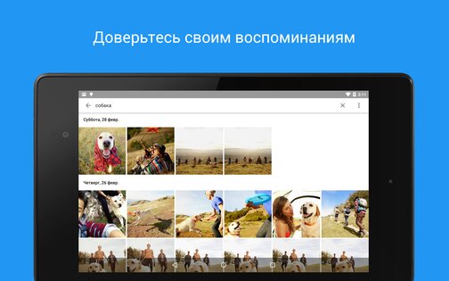 Google Фото 7.84.0.949657053. Скриншот 11