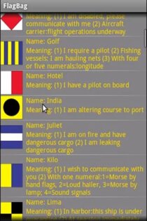 FlagBag 1.4. Скриншот 2