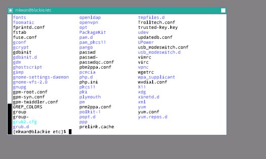 X Server 1.21. Скриншот 2